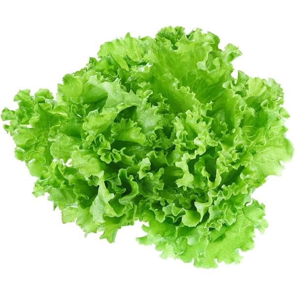 This Leader in Organic Agriculture Growth